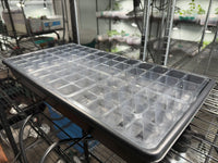 12-cell Rooted Cutting Starter Tray 6-count
