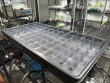 12-cell Rooted Cutting Starter Tray 6-count