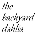 The Backyard Dahlia